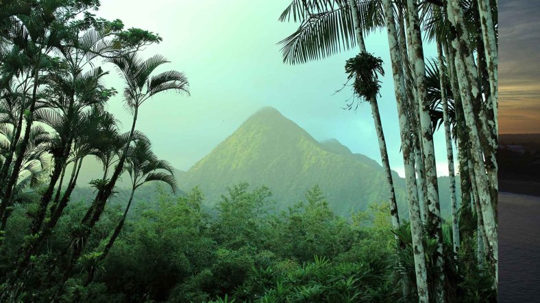 TransMartinique