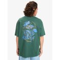 T-SHIRT HW DESERT PARADISE UOMO - QUIKSILVER