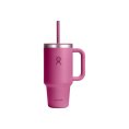 BICCHIERE 32 OZ ALL AROUND - HYDRO-FLASK