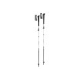 Bastoncini da trail Skytera FX Carbon SL - LEKI