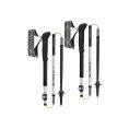 Bastoni da trekking Skysolo FX.One Carbon - LEKI