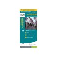 Carta IGN CAMMINO DI COMPOSTELA GR®65-2 DA MOISSAC A RONCEVAUX - IGN