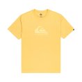 T-SHIRT EV COMP LOGO UOMO - QUIKSILVER