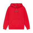 Felpa con cappuccio Dna uomo - QUIKSILVER
