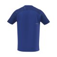 T-shirt Graphic uomo - MIZUNO