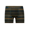 BOXER ANATOMICA UOMO - ICEBREAKER