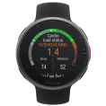 VANTAGE V2 - POLAR