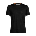 T-SHIRT MERINO SPHERE II UOMO - ICEBREAKER