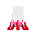 KIT CROSSOVER P.WHITE/FUSHIA - TSL