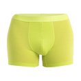 BOXER ANATOMICA COOL-LITE UOMO - ICEBREAKER