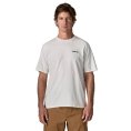 T-SHIRT P-6 LOGO RESPONSIBILI-TEE UOMO - PATAGONIA