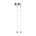 BASTONI DA NORDIC WALKING PASSION - LEKI