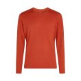 SOTTOSTRATO MERINO 200 OASIS COLLO GIRO UOMO - ICEBREAKER