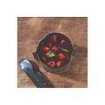 DESSERT LIOFILIZZATO - FONDUTA AL CIOCCOLATO CON FRUTTI CROCCANTI - MX3