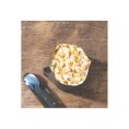 PASTO LIOFILIZZATO - TARTIFLETTE SAVOIARDA - MX3