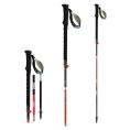 BASTONI DA TREKKING TOUR CARBON 5 CROSS STANDARD - TSL