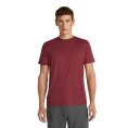 MAGLIA MERINOS 150 MANICHE CORTE TECH LITE III UOMO - ICEBREAKER