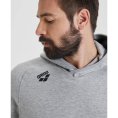 Felpa con cappuccio Team Panel - ARENA