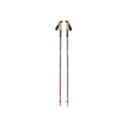 BASTONI DA TREKKING PURSUIT FLZ - BLACK DIAMOND
