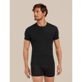 T-shirt Anatomica 150 uomo - ICEBREAKER