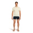 T-shirt Anatomica 150 uomo - ICEBREAKER