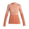 FELPA MERINO 200 REALFLEECE DESCENDER DONNA - ICEBREAKER