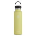 Borraccia 24 OZ STANDARD MOUTH - HYDRO-FLASK