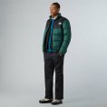 Pantalone Antora da uomo - THE NORTH FACE