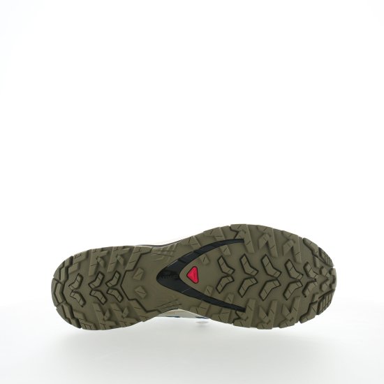 SALOMON - XA PRO 3D V9 GTX UOMO