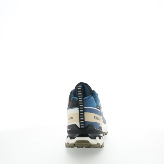 SALOMON - XA PRO 3D V9 GTX UOMO