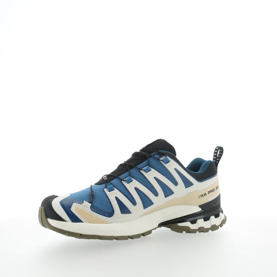 SALOMON - XA PRO 3D V9 GTX UOMO