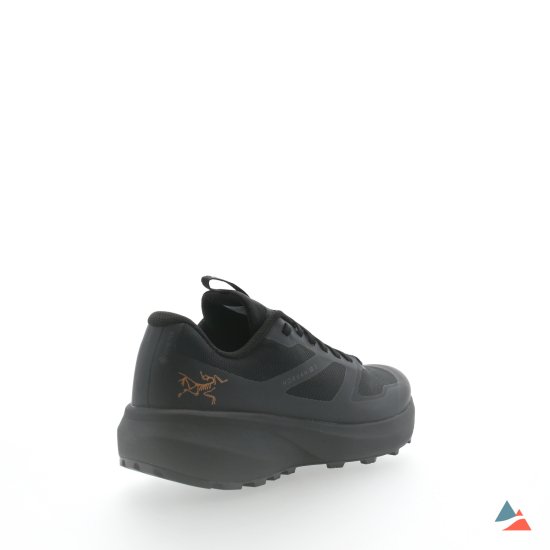 ARCTERYX - NORVAN LD3 GTX UOMO