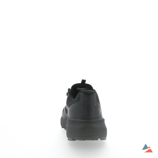 ARCTERYX - NORVAN LD3 GTX UOMO