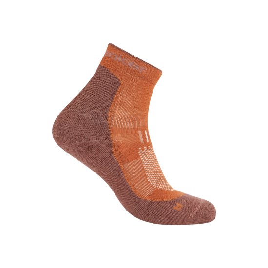 ICEBREAKER - CALZINI MERINO LIGHT HIKE+ UOMO