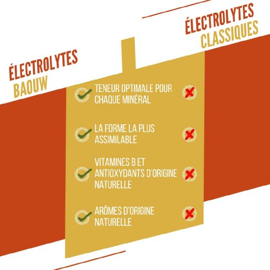 BAOUW - 10 Pastiglie elettrolitiche