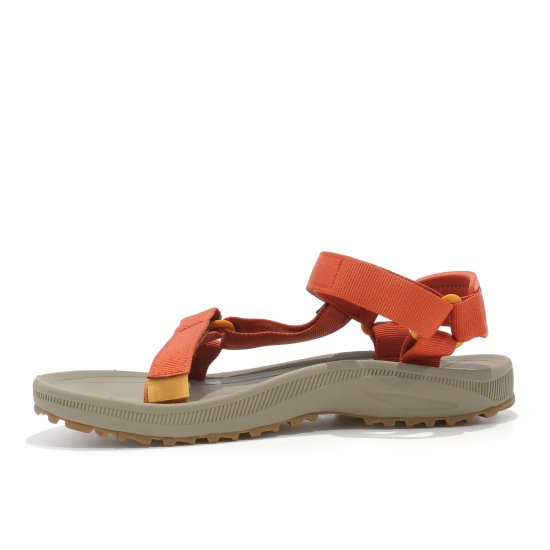 TEVA - WINSTED DONNA
