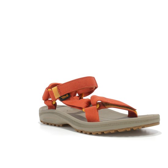 TEVA - WINSTED DONNA