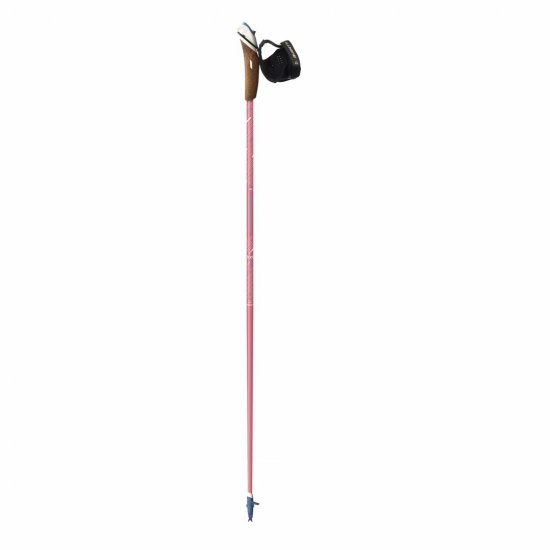 Guidetti - BASTONI DA NORDIC WALKING VENT DES FJORDS UT70 STEPPE