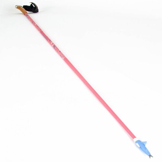 Guidetti - BASTONI DA NORDIC WALKING VENT DES FJORDS UT70 STEPPE