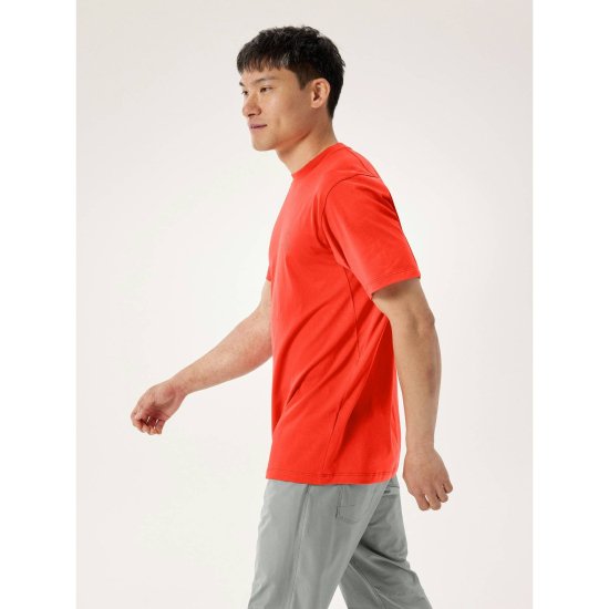 ARCTERYX - T-SHIRT KRAGG SL COTONE LOGO BIRD WORD UOMO