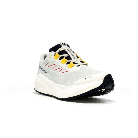 SALOMON - Aero Blaze 3 Grvl Gore-Tex donna