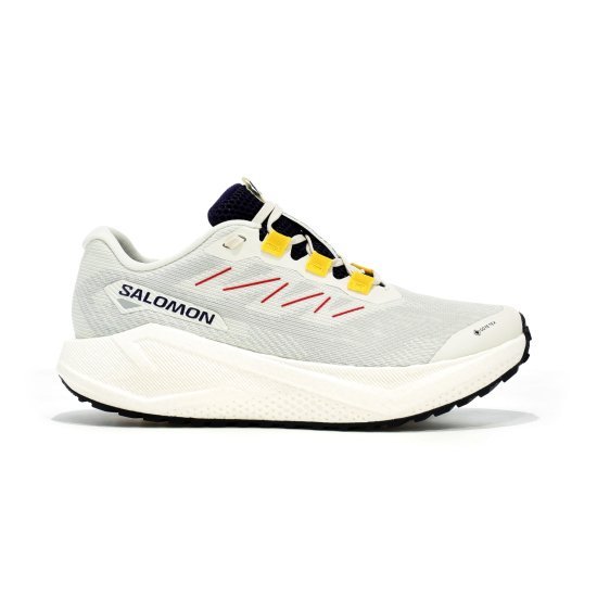 SALOMON - Aero Blaze 3 Grvl Gore-Tex donna