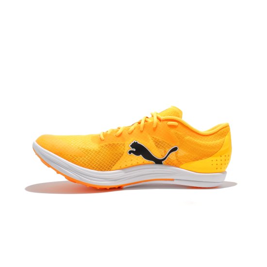 PUMA - evoSPEED Long Distance