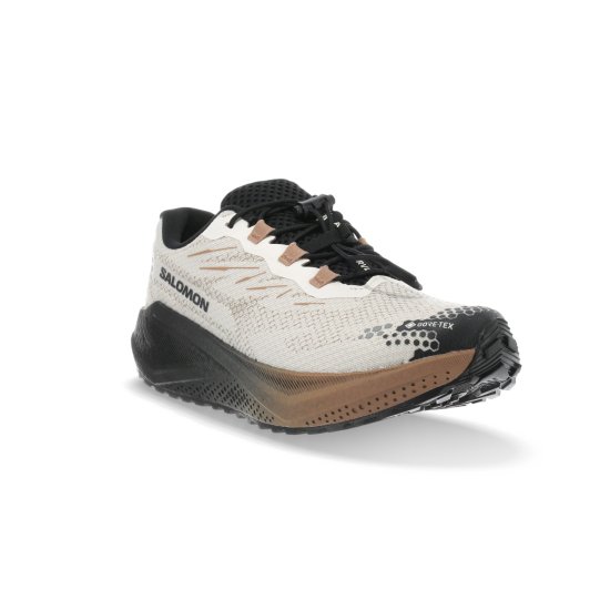 SALOMON - Aero Blaze 4 GRVL Gore-Tex uomo