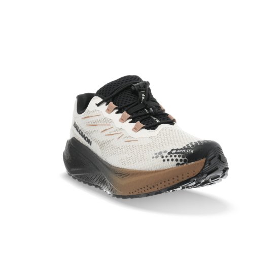 SALOMON - Aero Blaze 4 GRVL Gore-Tex donna