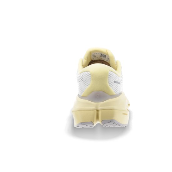 ON - Cloudrunner 3 Max homme