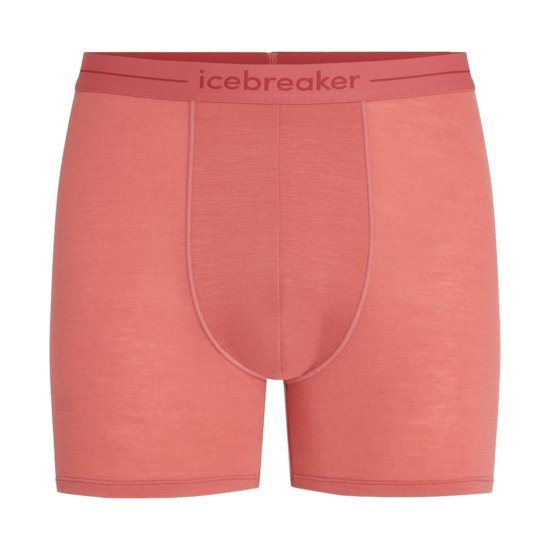 ICEBREAKER - BOXER ANATOMICA UOMO