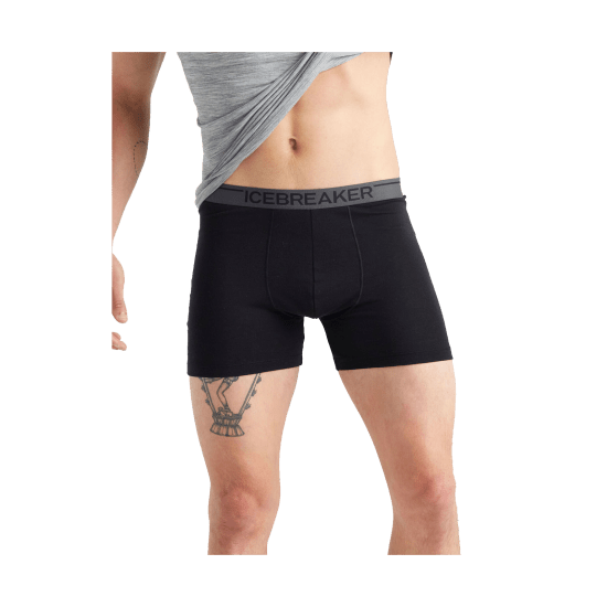 ICEBREAKER - BOXER ANATOMICA UOMO