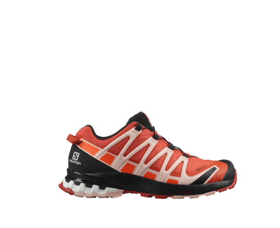 SALOMON - XA PRO 3D V8 GTX DONNA