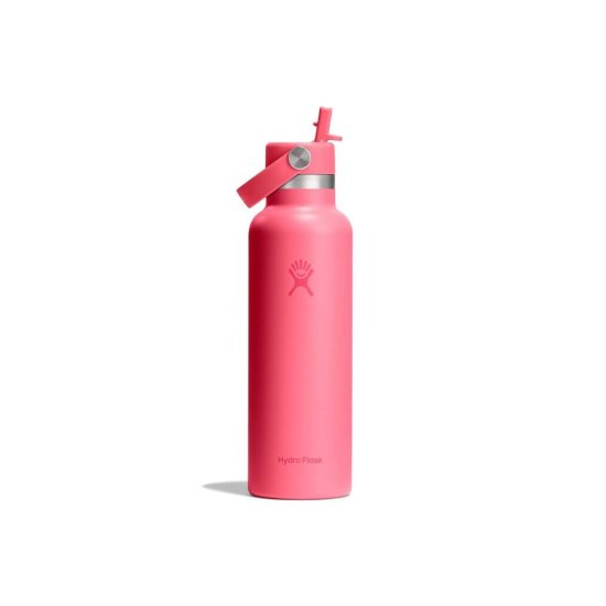 HYDRO-FLASK - GOURDE 21 OZ STANDARD FLEX CAP